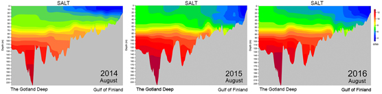 Salt in the Gotland Deep
